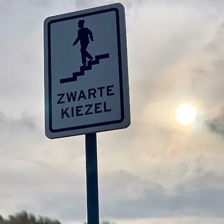 De Blauwe Zeekoe *
